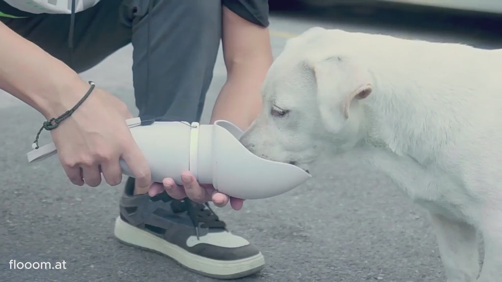 flooom™ AquaGo – Faltbare Hunde-Trinkflasche